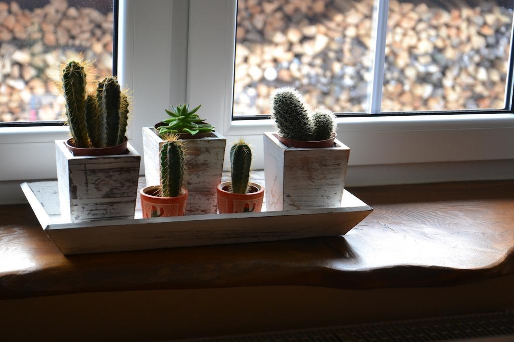 U Robsona Apartment Szklarska Poreba Room photo